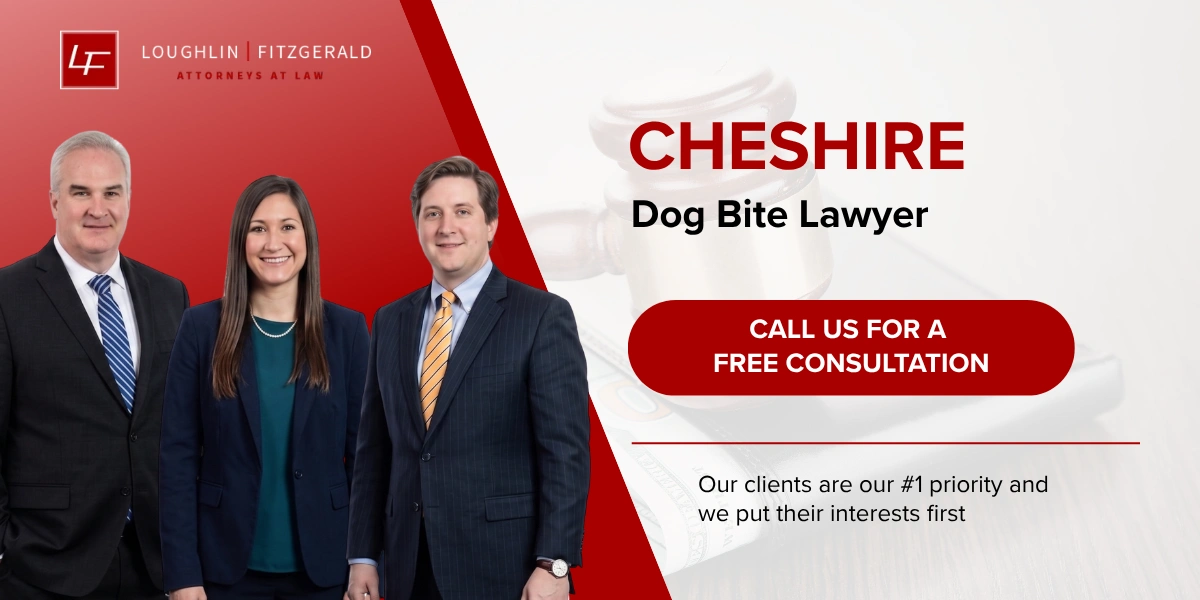 Dedicated Cheshire Dog Bite Lawyer Cheshire Dog Bite Lawyer
