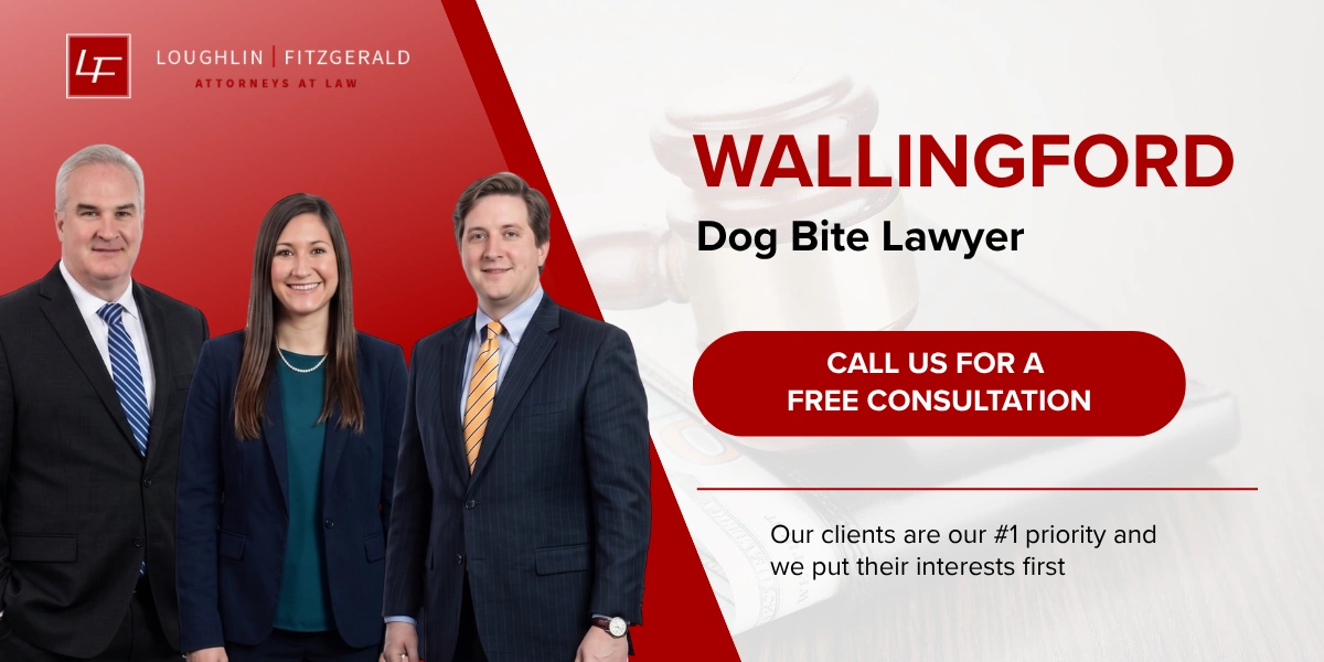 Wallingford Dog Bite Lawyer