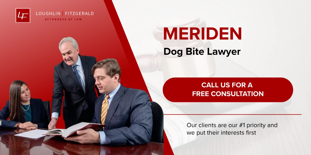 Meriden Dog Bite Lawyer