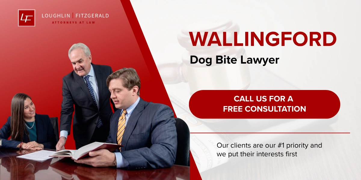 Wallingford Dog Bite Lawyer